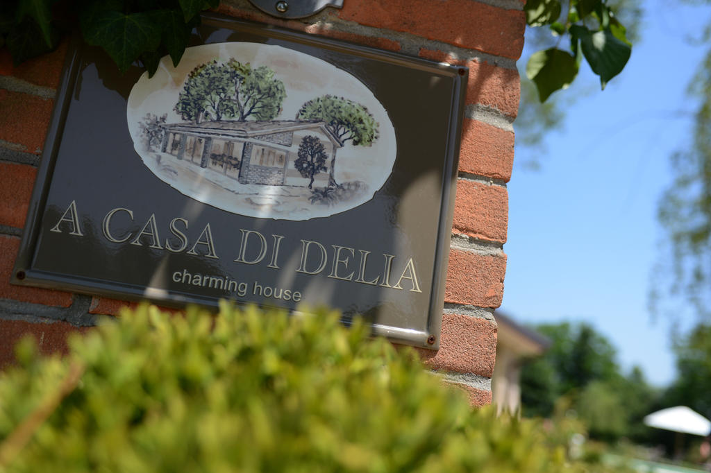 A Casa Di Delia B&B Charming House Sant'Elena di Silea Luaran gambar